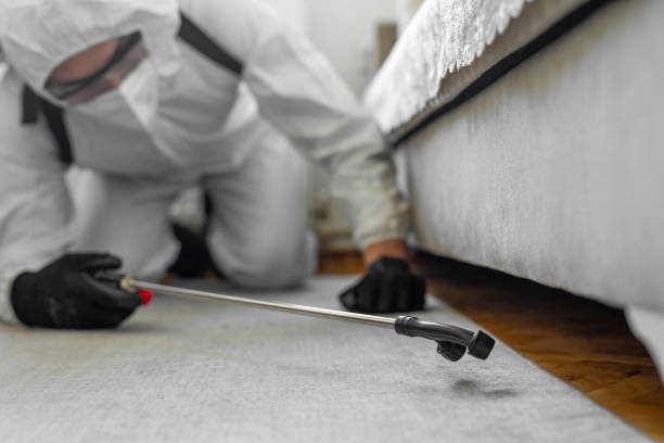 Professional Wasp Control technician working in East Newark, NJ