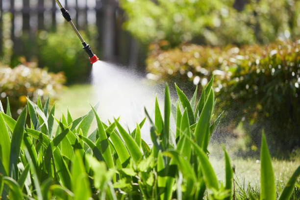 24/7 Emergency Fumigation Services experts in East Newark, NJ