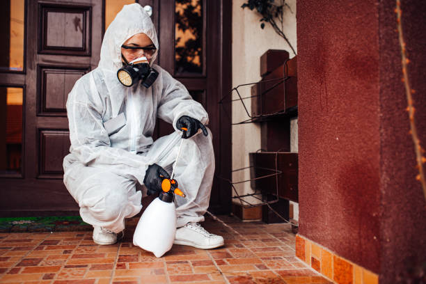 Reliable Fumigation Services contractor in East Newark, NJ by Nex Pest Control