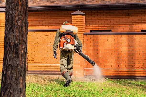 Trusted Emergency Pest Control service in East Newark, NJ - Nex Pest Control